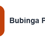 Bubinga Partners Официальная — логотип партнёрской сети | каталог партнёрок PPC Rebels